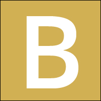 Partner Agency Logo